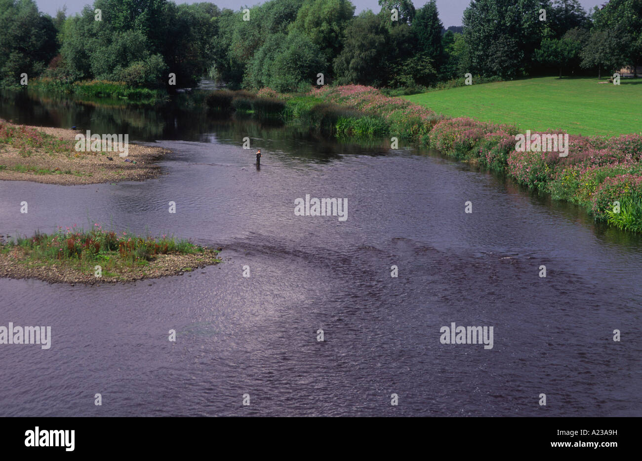 Fishing on the River Tees near Darlington England