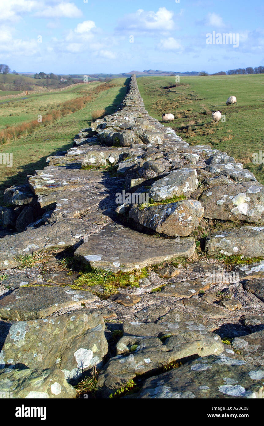 Hadrian s Wall infinite long lenghty length vertical colour color day ...