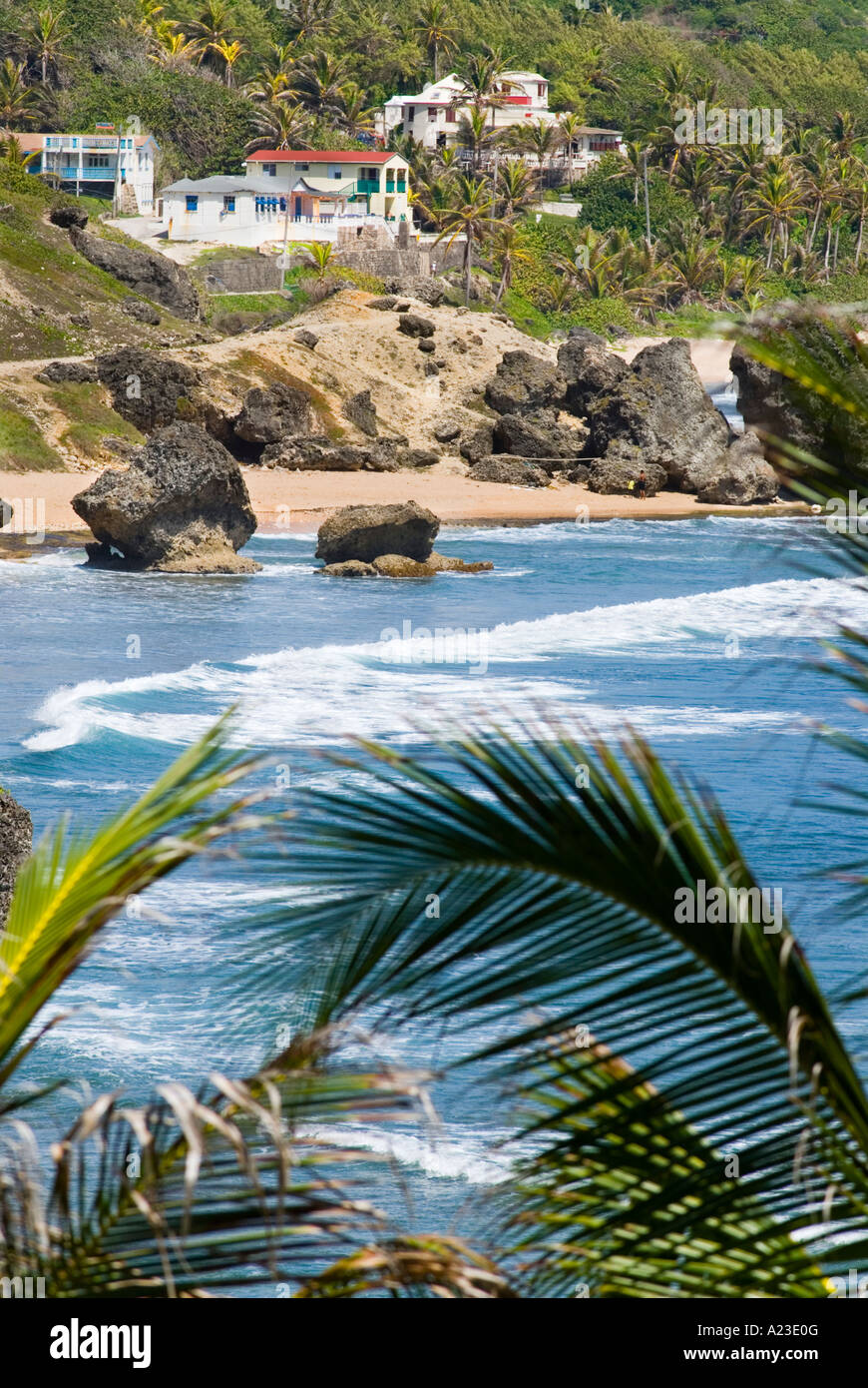 Houses on Hill Overlooking Bathsheba Bay, Barbados Stock Photo Alamy