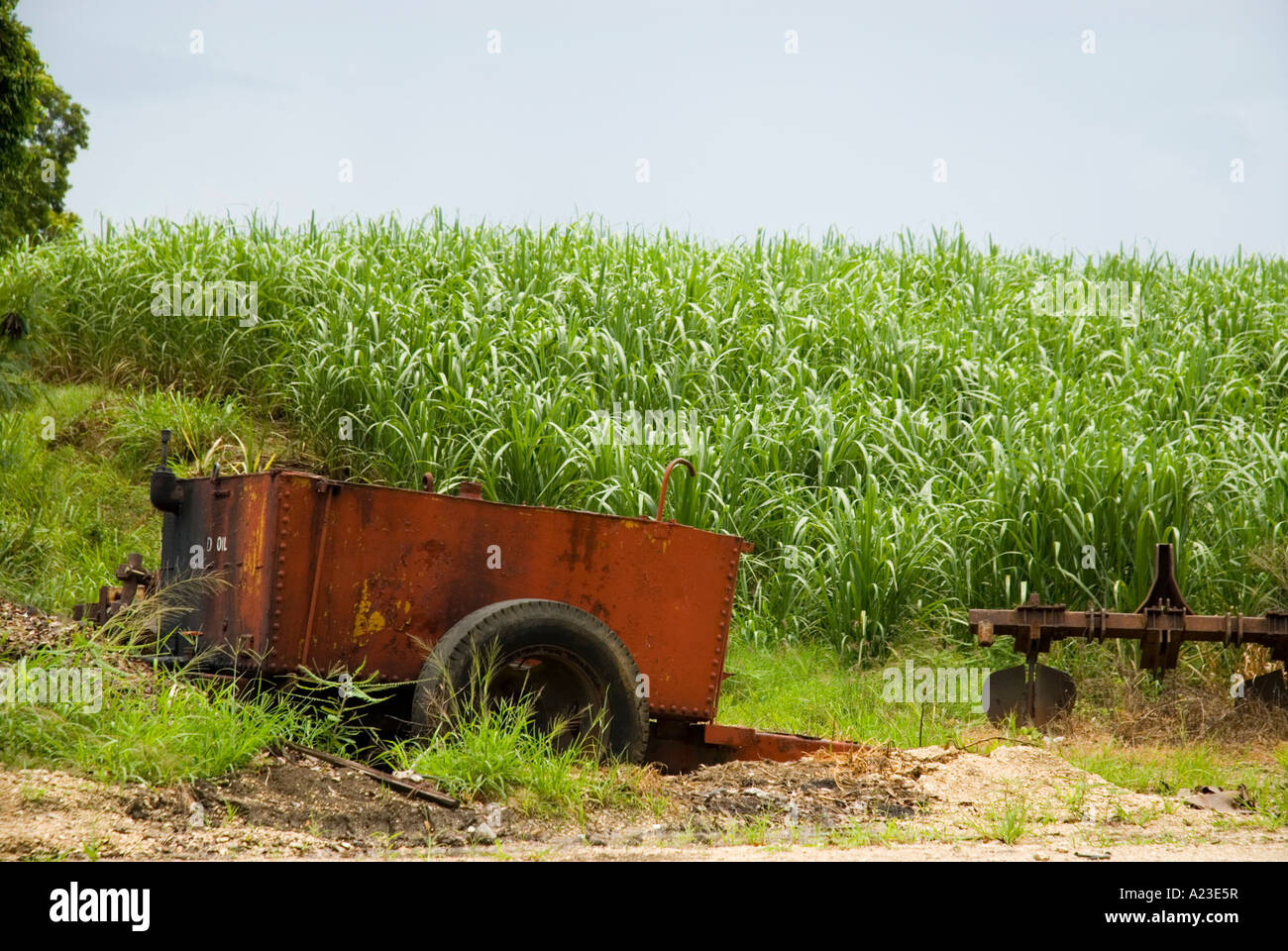 Sugar Factory Relic, Bulkeley Plantation, St Barbados, 8/06