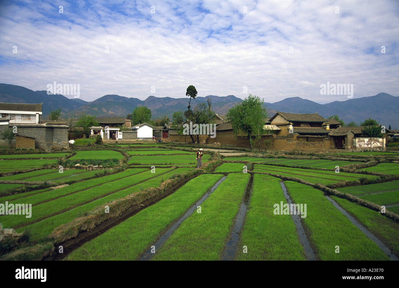 Subsistence farming china hi-res stock photography and images - Alamy