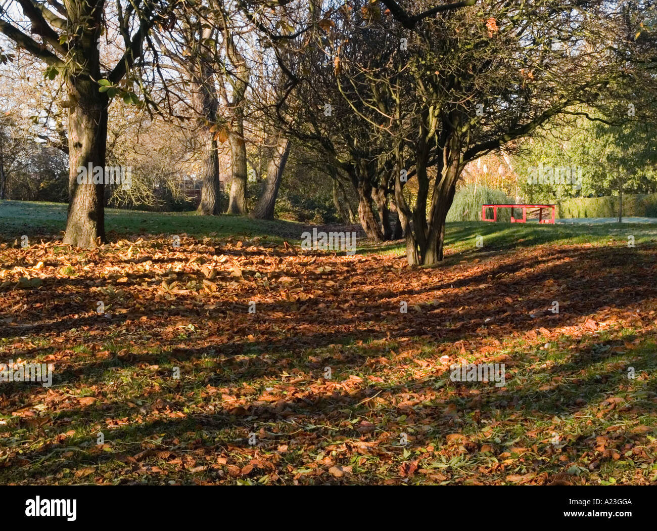 Autumn trees in Stanley Park Blackpool Stock Photo Alamy
