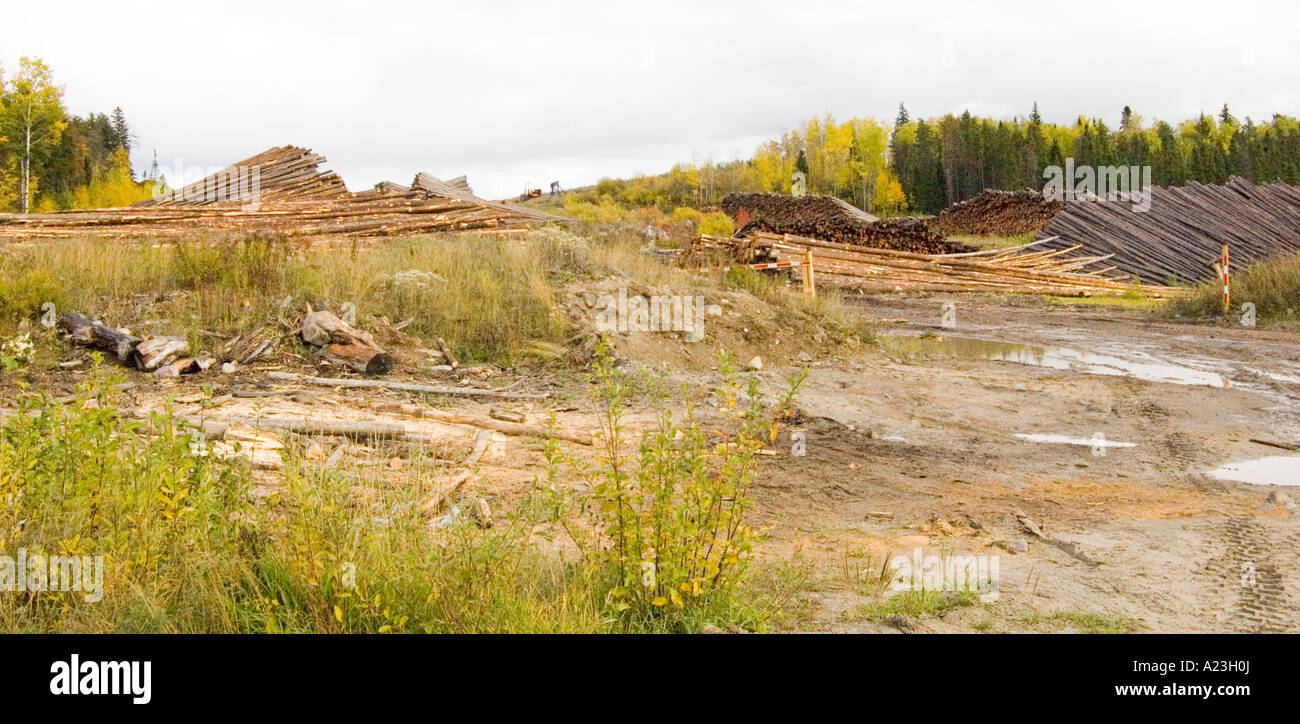 Softwood lumber canada hires stock photography and images Alamy