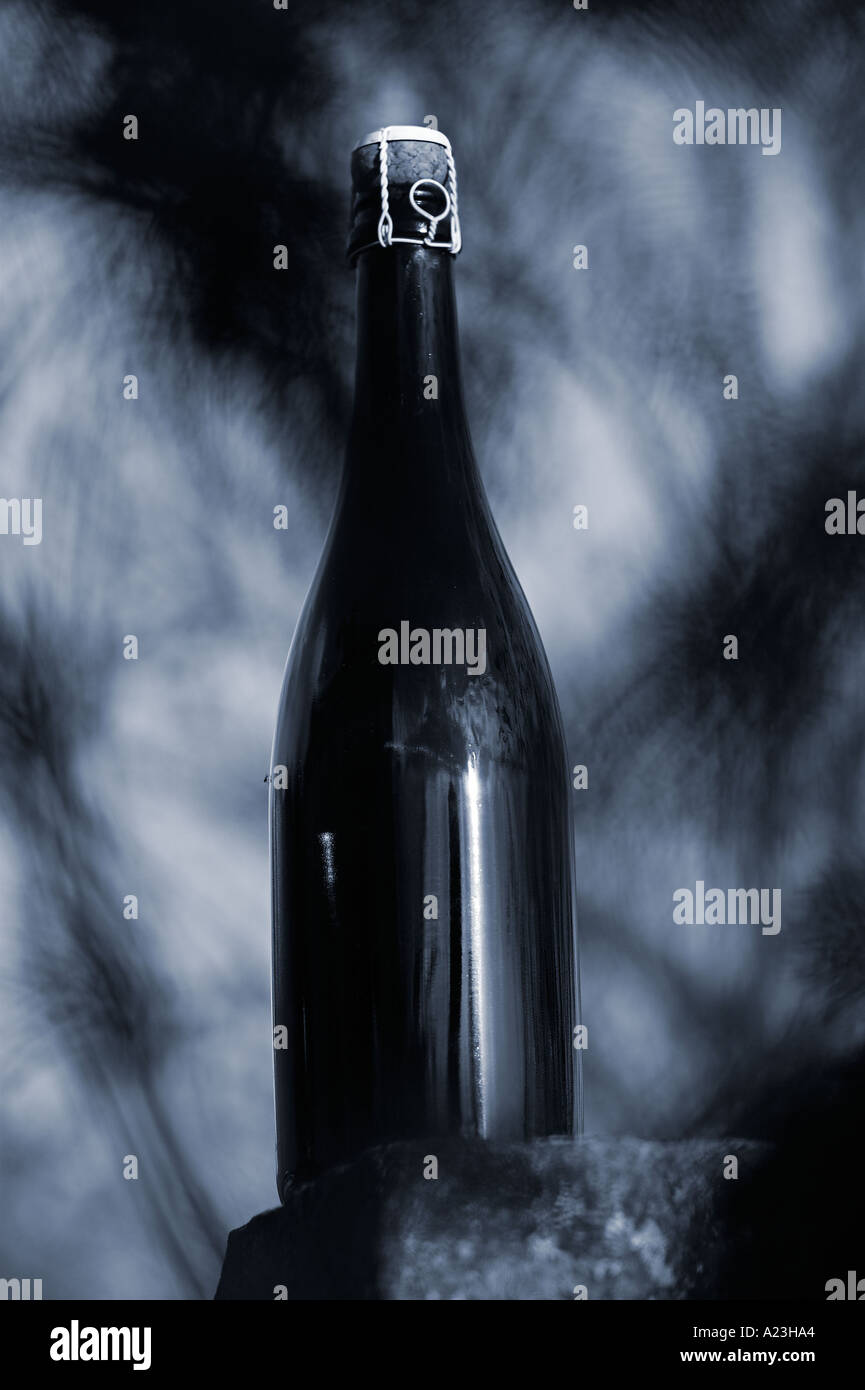 bottle of high quality organic sparkling wine Germany Stock Photo Alamy