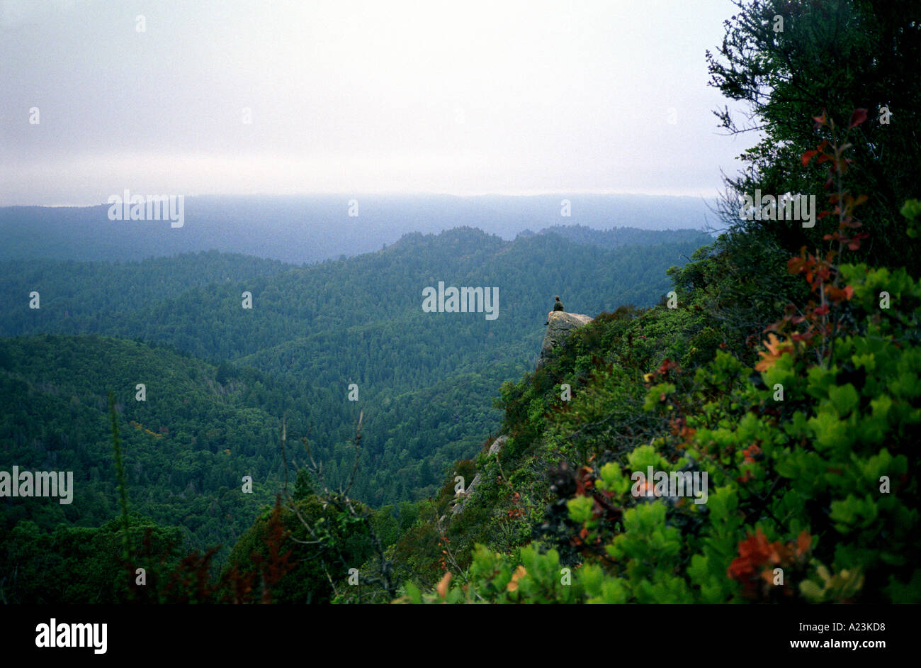 Quiet vista hi-res stock photography and images - Alamy