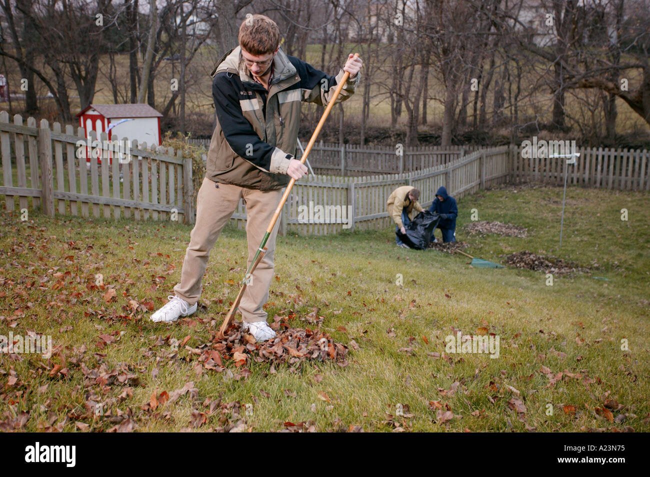 Boy raking leaves in yard hires stock photography and images Alamy