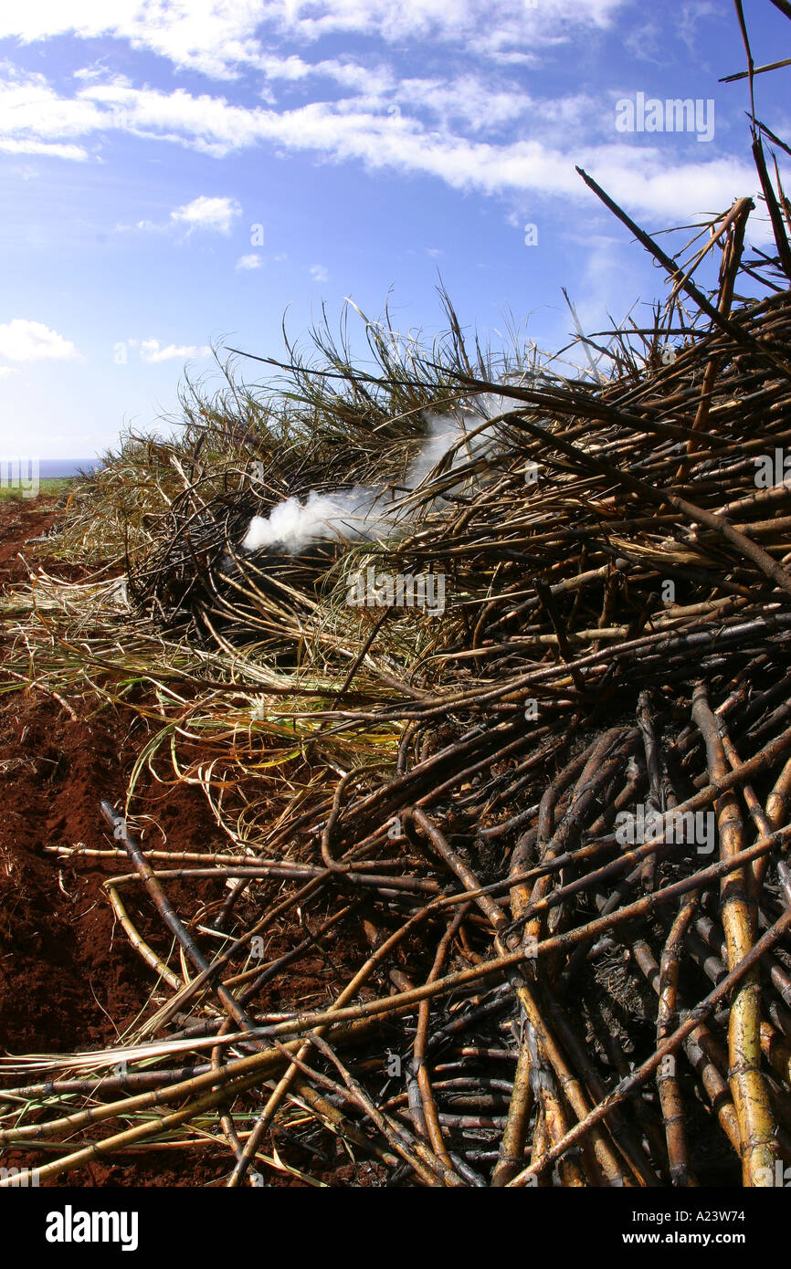 Burning Sugar Cane Gay and Robinson Plantation Kauai Hawaii Stock Photo