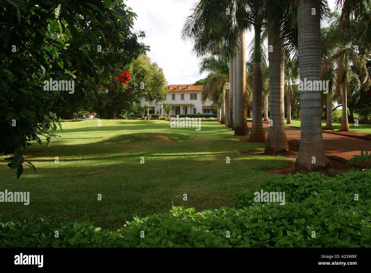 Robinson plantation hires stock photography and images Alamy