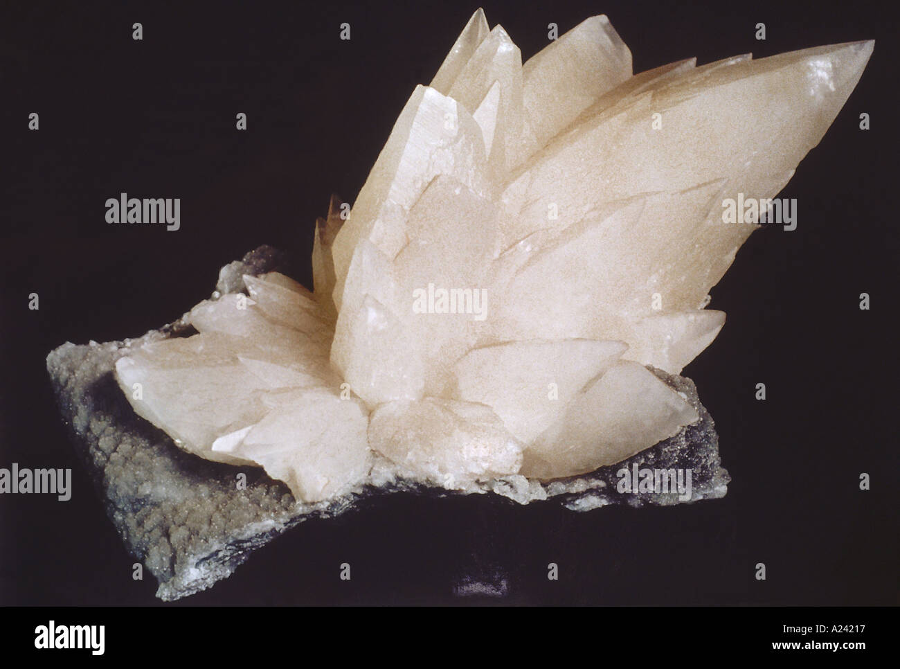 Carved Gypsum. Gypsum is one of the most common sedimentary minerals