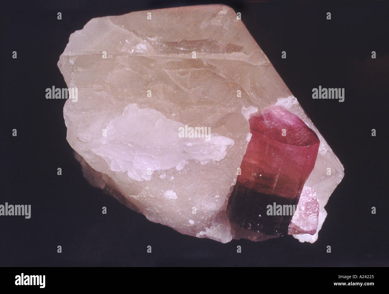 Macro Photo Of Red Gems Stone Quartz On A Background. Closeup Of Texture  Mineral. Stock Photo, Picture and Royalty Free Image. Image 142302909.