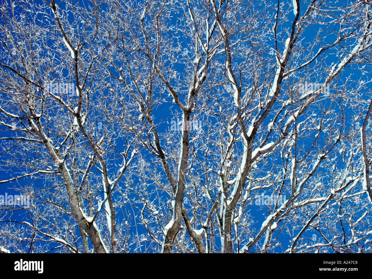 Rosemere hi-res stock photography and images - Alamy