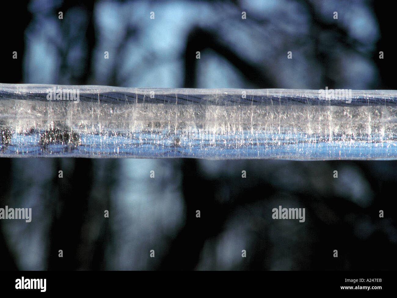 icestorm ice accumulation on wire many more extreme weather images