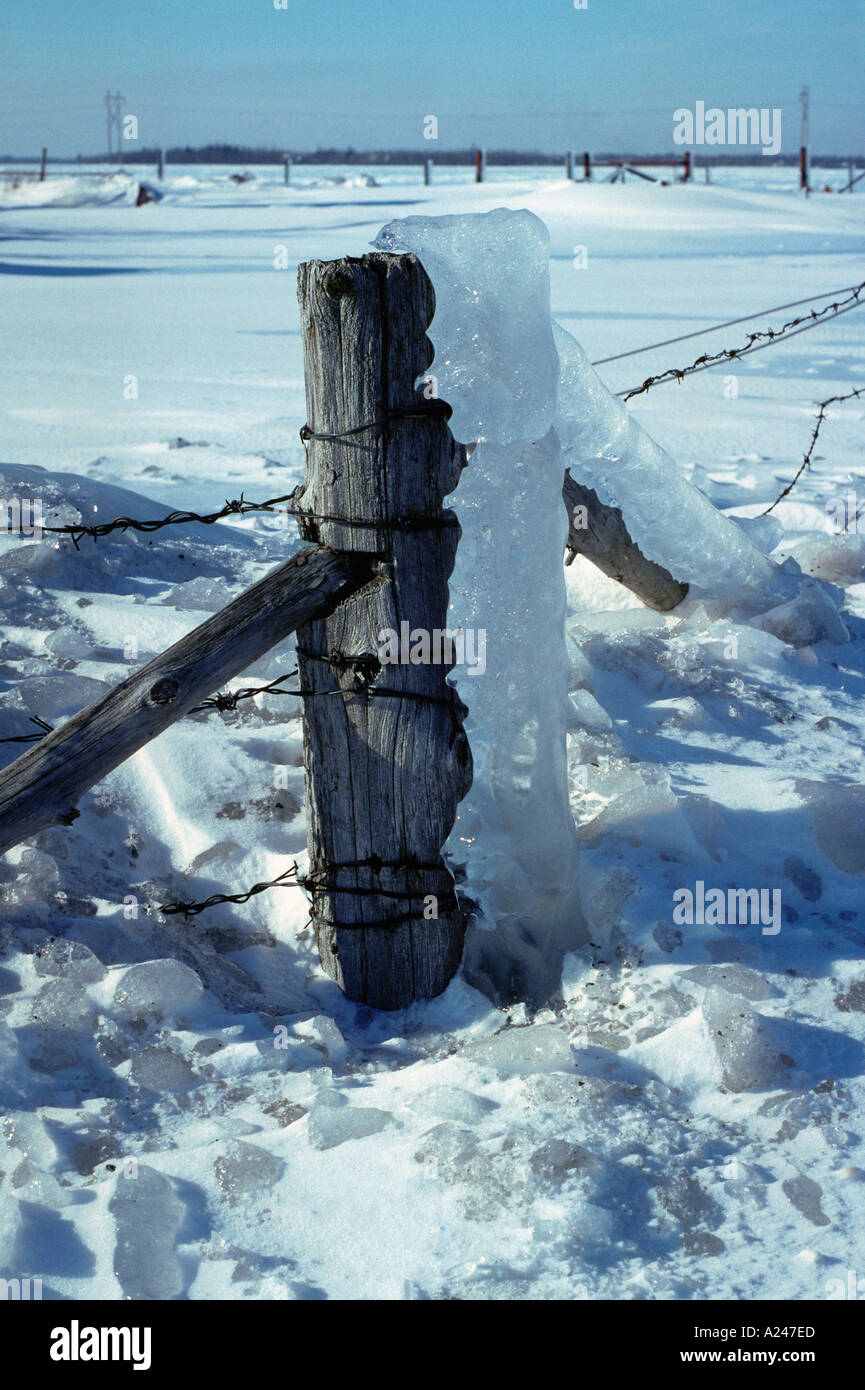 icestorm ice accumulation on fencepost many more extreme weather images available  Stock Photo