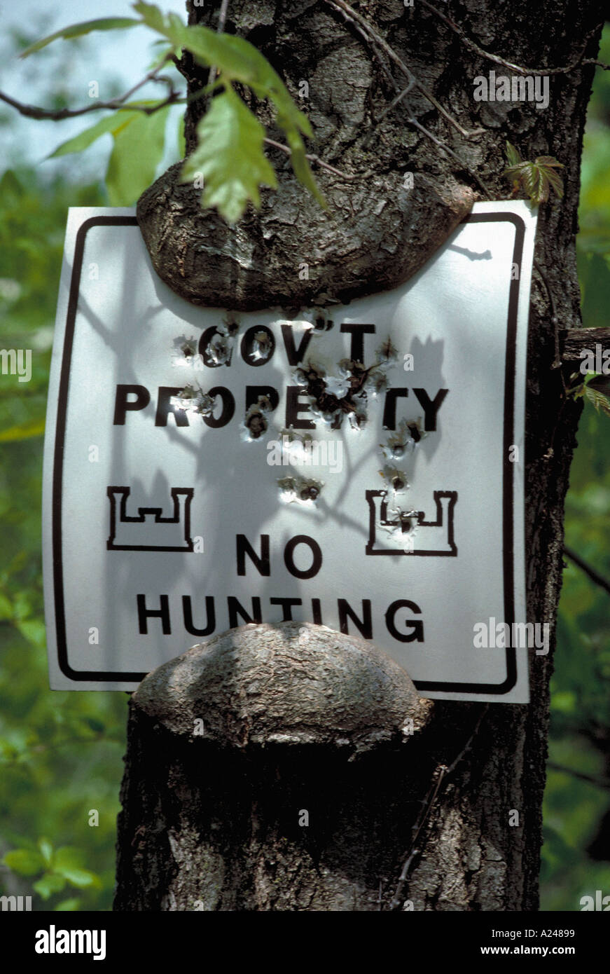 Old No hunting sign extensive collection of sign images in Emglish