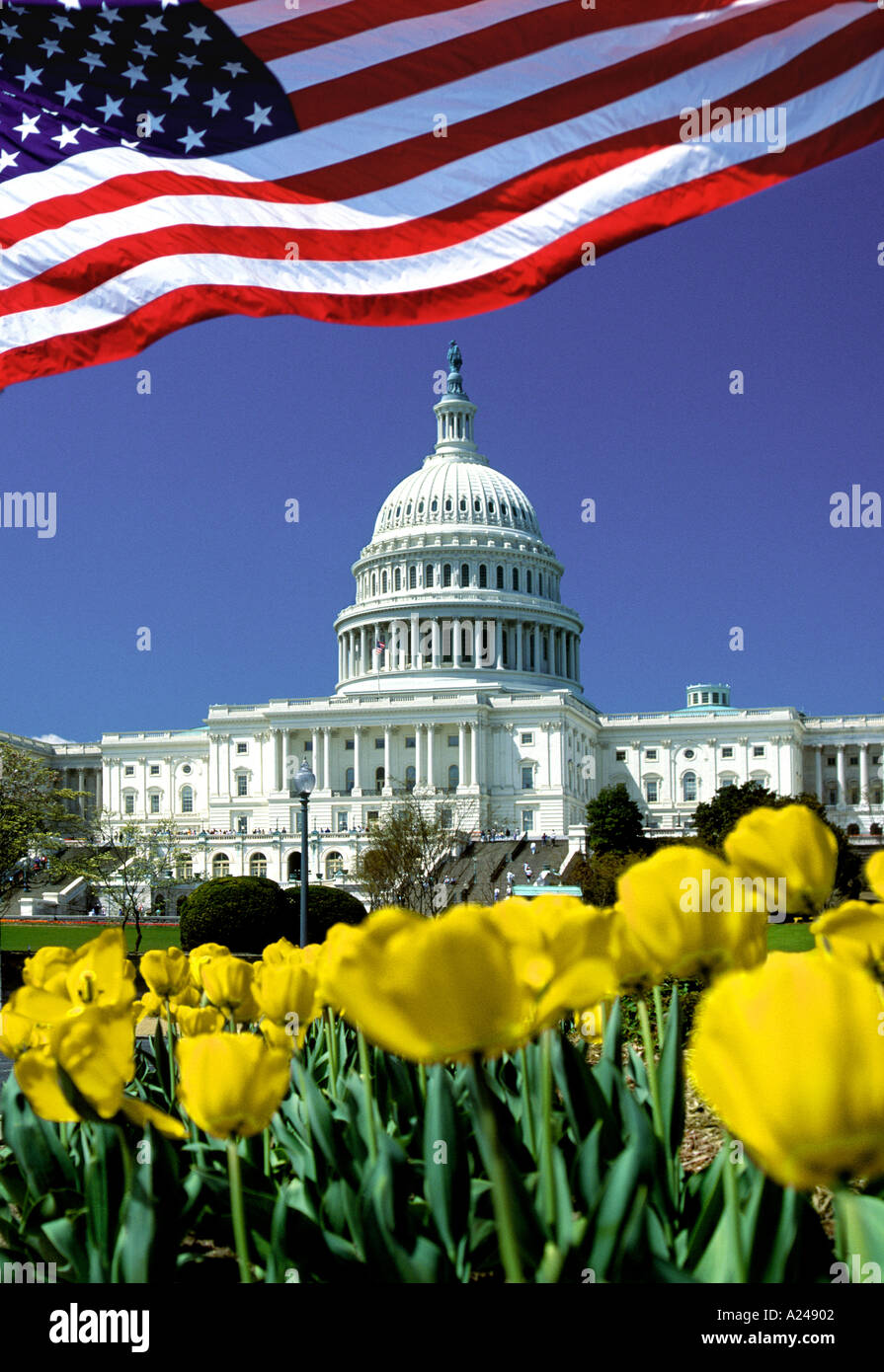 Capitol Building and US flag Washington DC USA Stock Photo