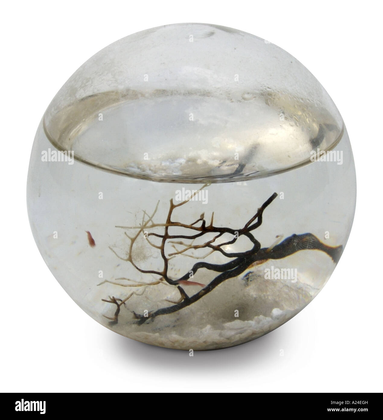 Ecosphere hi-res stock photography and images - Alamy