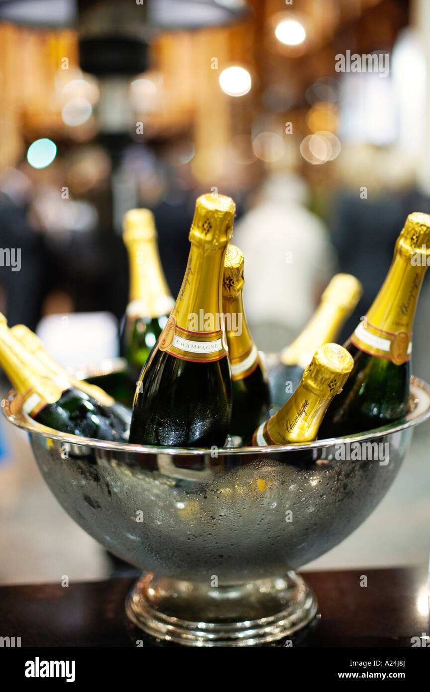 Champagne bottles in a bucket on ice in a cooler Stock Photo Alamy