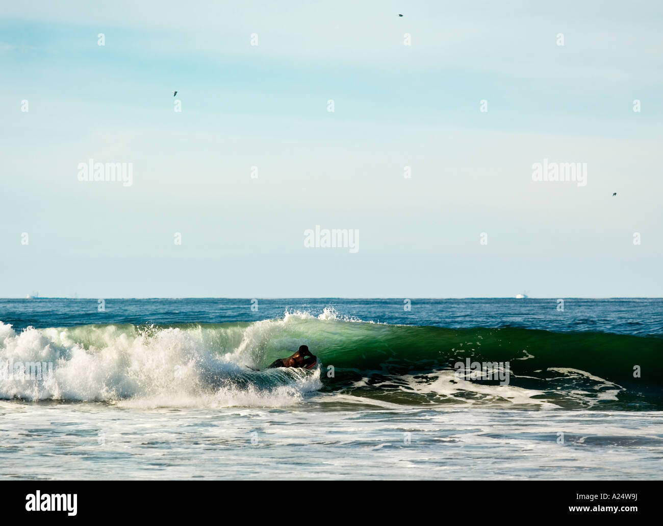 Boogie boarders catching Pacific ocean waves No model release required ...