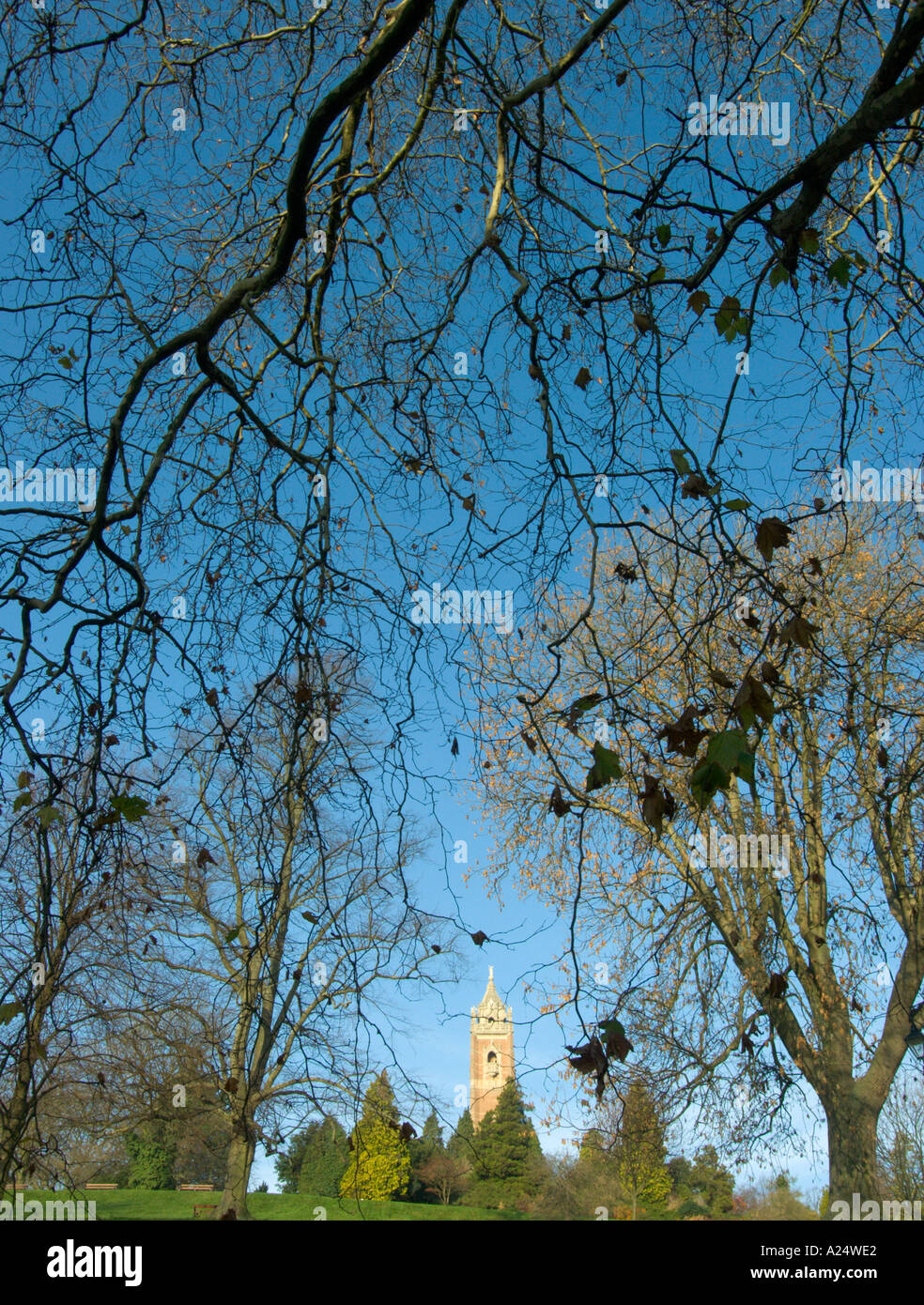 Brandon Hill Bristol view of Cabot Tower with London Plane trees in front Stock Photo