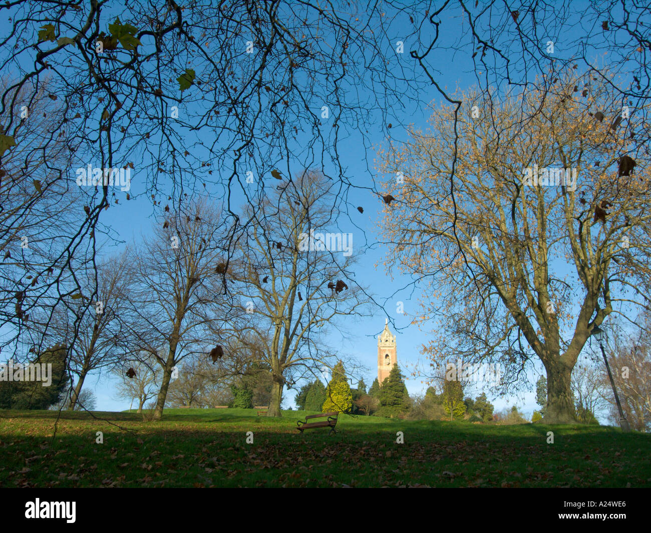 Brandon Hill Bristol view of Cabot Tower with London Plane trees in front Stock Photo