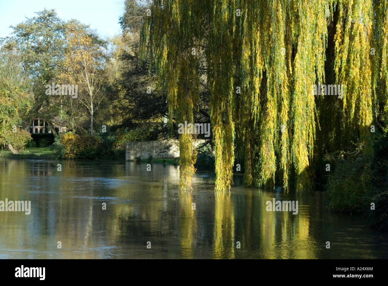 OXFORD, UK-01 JULY: Weeping Willow trails its leaves in the water of the River Thames on 01 July 2007 at Iffley Lock, Oxford, UK Stock Photo