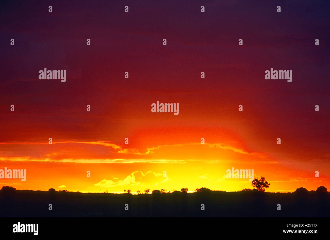 Sonnenuntergang Strzelecki Wueste Sunset over Strzelecki Desert South Australia Sued Australien Stock Photo