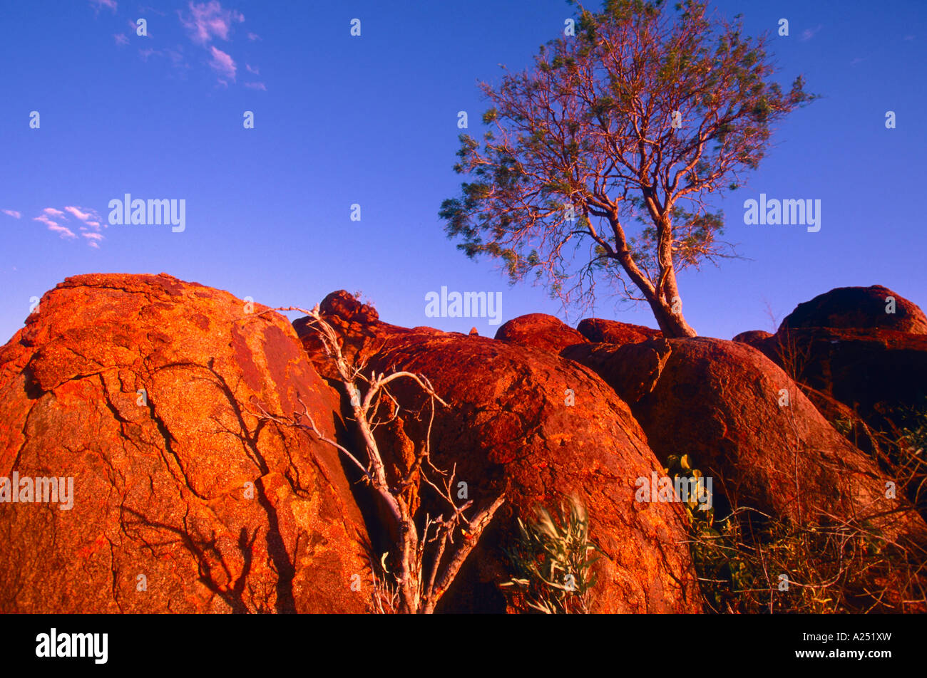 Granitfelsen bei Tibooburra granite rocks at Tibooburra New South Wales Australia Stock Photo