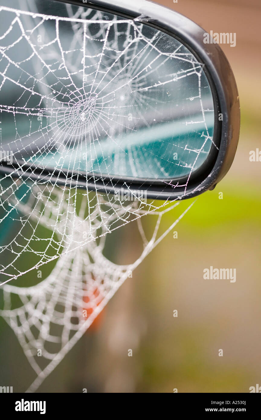 a frozen spiders web on a car wing mirror, UK Stock Photo Alamy