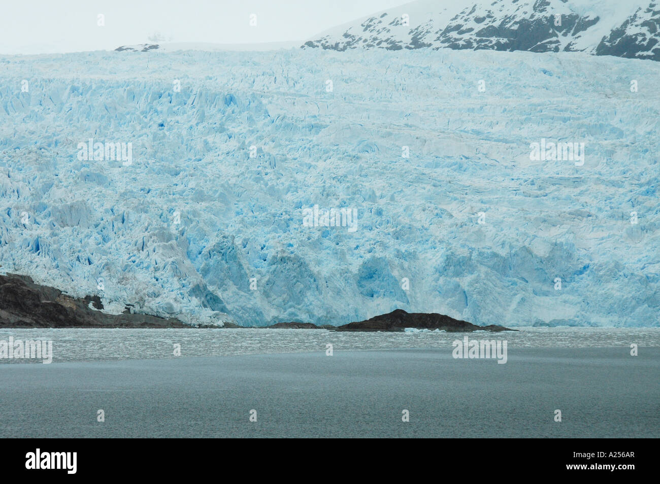 Glacier Amalia Patagonia Chile Stock Photo