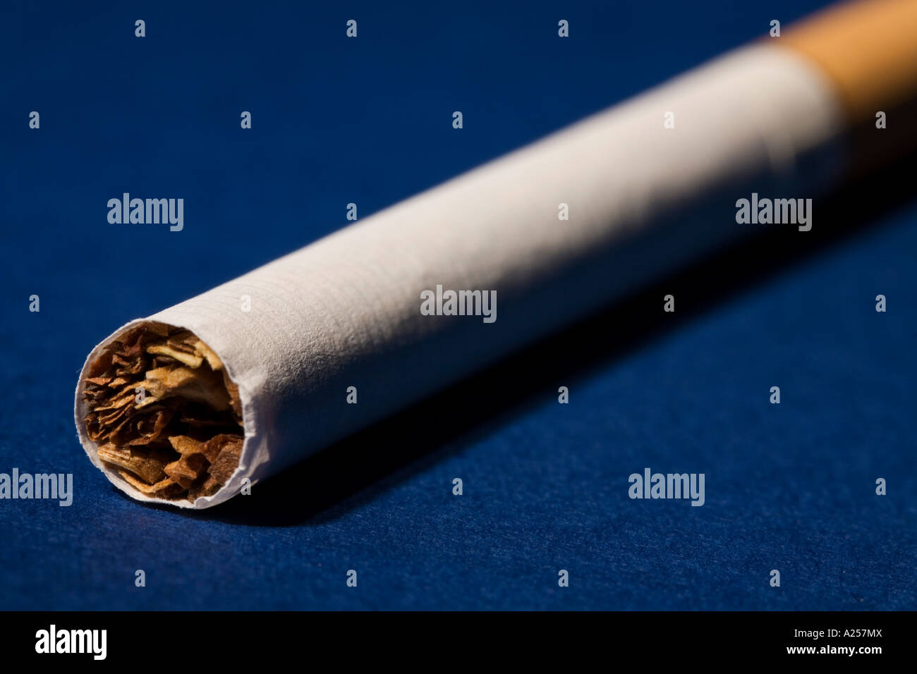 what happens if you smoke one cigarette a day Health Effects of Smoking on Your Body