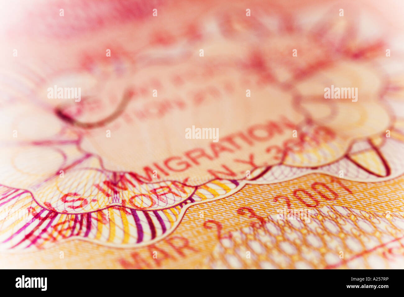 US immigration stamp in a British passport Stock Photo