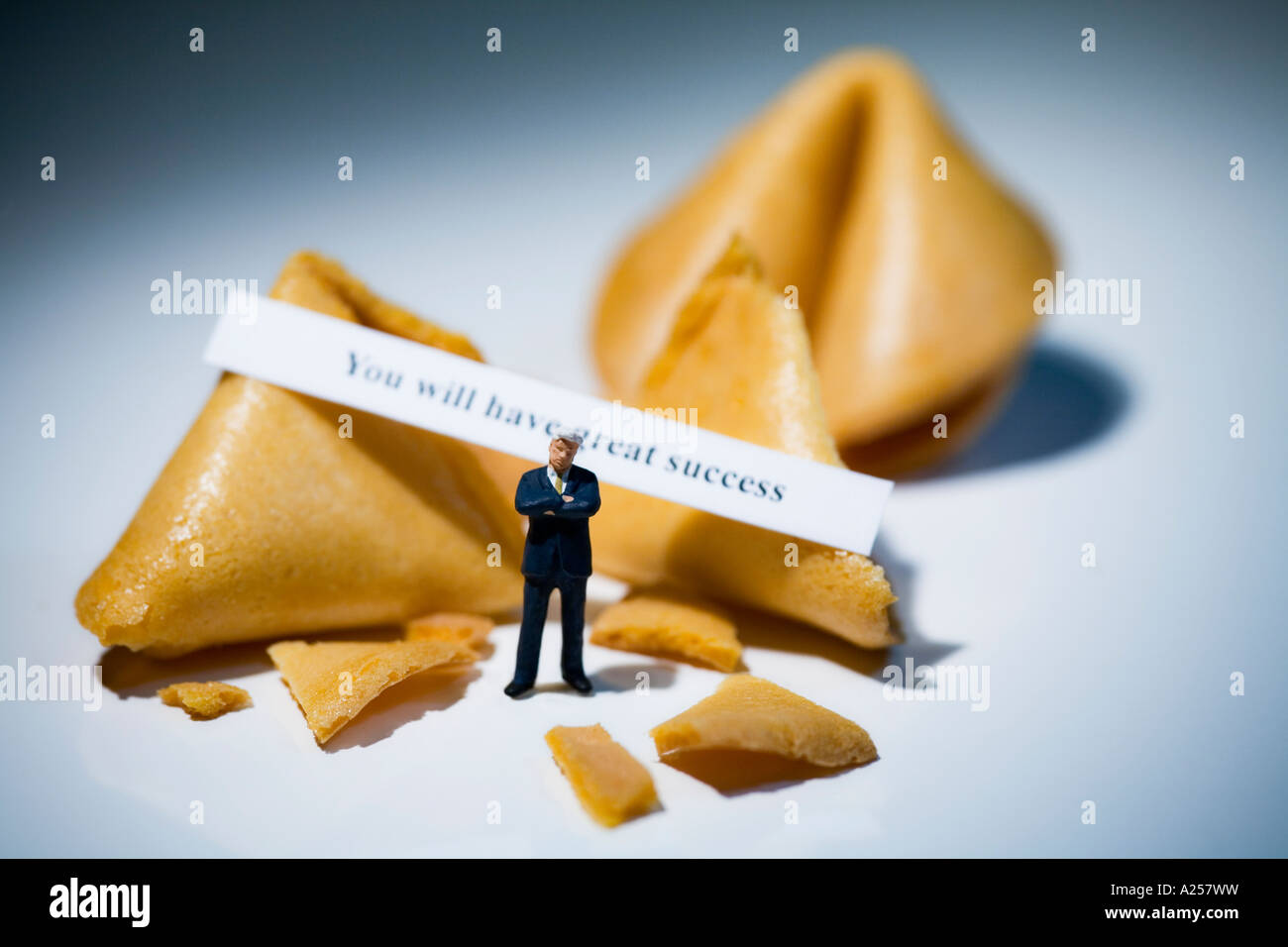 Miniature businessman in front of fortune cookies with message reading you will have great success Stock Photo