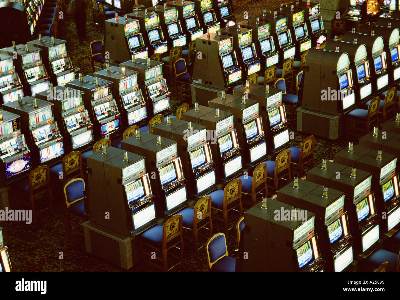 Rows Of Slot Machines Rows Of Slot Machines