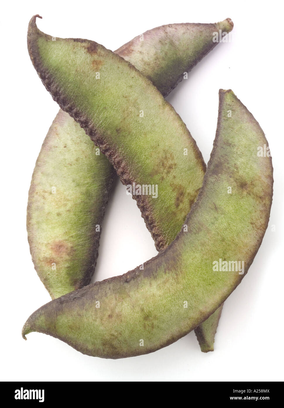 bean called seem in bangladeshi Stock Photo