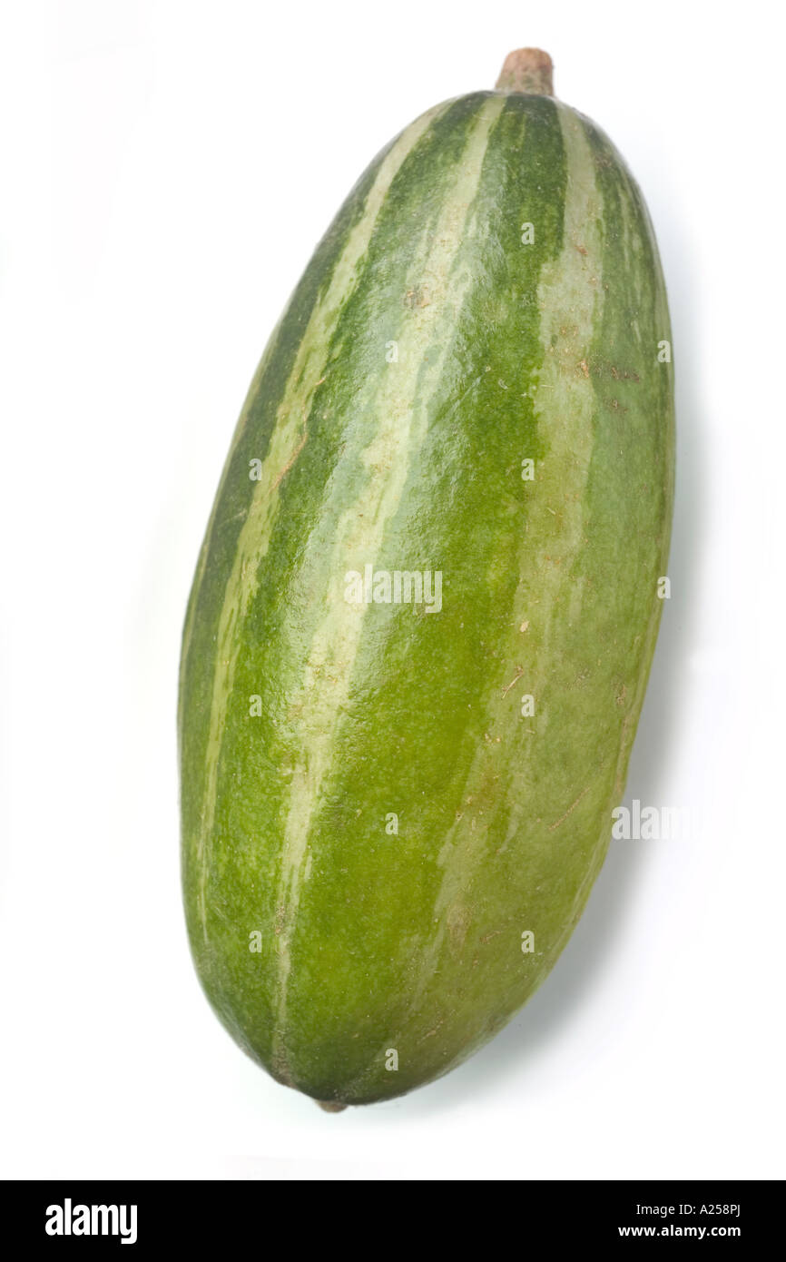 tindora small indian cucumber Stock Photo