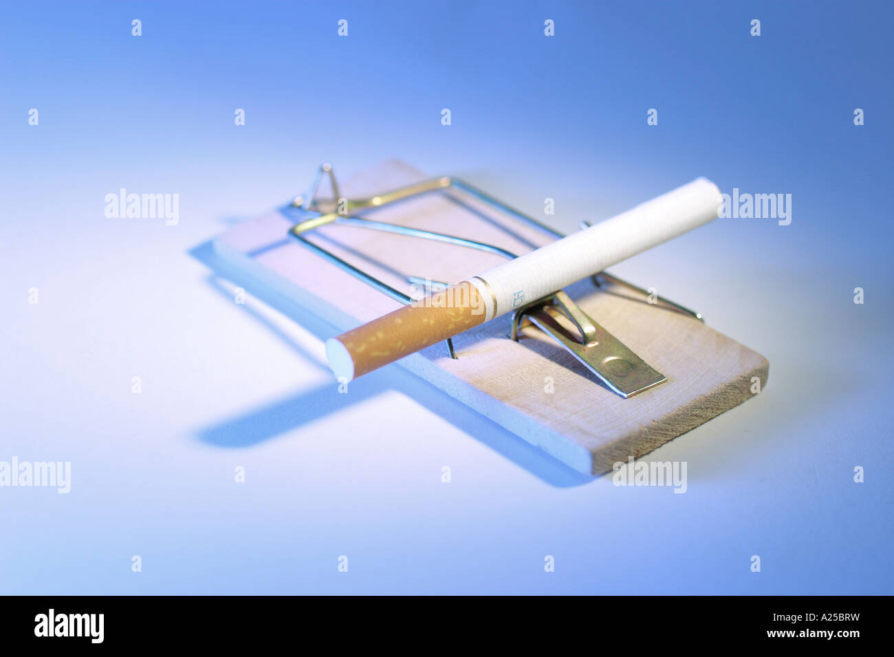 is it illegal to post cigarettes Can You Bring Cigarettes on a Plane? Simple Tips for Travelers is it illegal to post cigarettes Can You Bring Cigarettes on a Plane? Simple Tips for Travelers