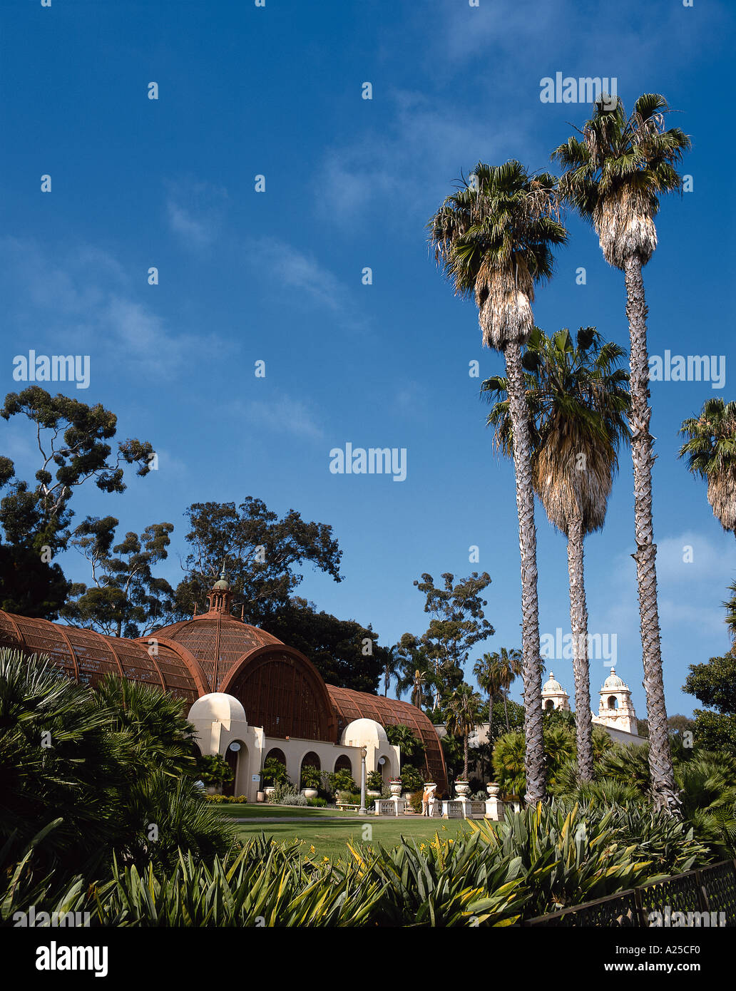 BOTANICAL GARDENS WITH GREENHOUSE AND PALM TREES BALBOA PARK Stock Photo