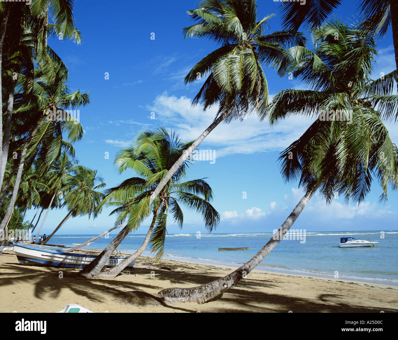 LAS TERRENAS DOMINICAN REPUBLIC Stock Photo Alamy