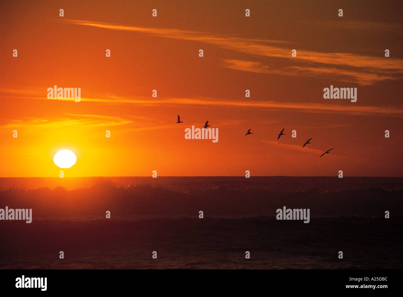Flying across the sun hi-res stock photography and images - Alamy