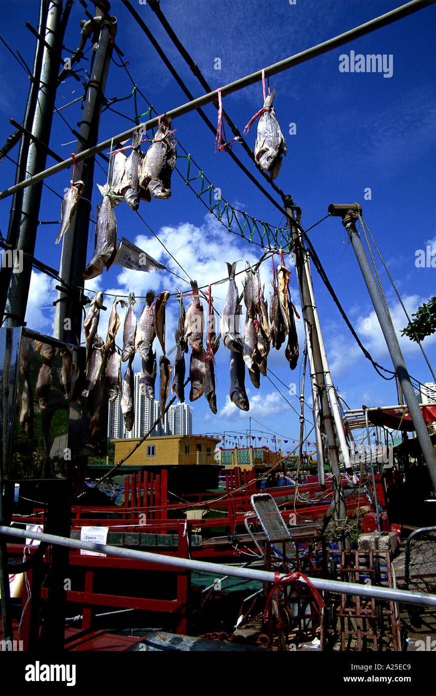 Aberdeen fish market hires stock photography and images Alamy