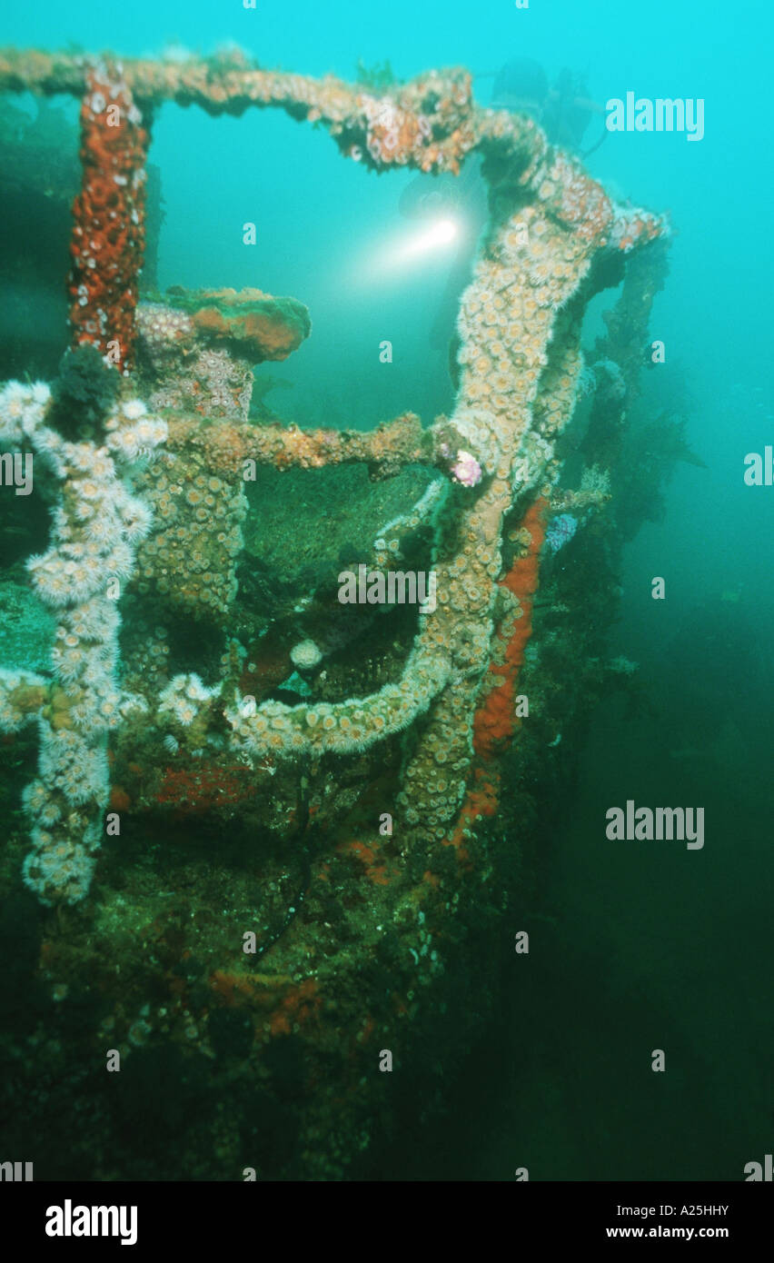 wreck of the Rainbow Warrior, former Greenpeace-ship, New Zealand, Matauri Bay Stock Photo