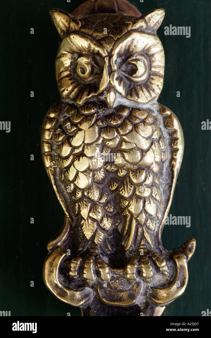Brass Door Knocker Shaped Like An Owl On Green Door Stock Photo
