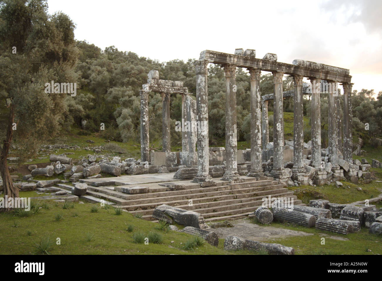 temple of Zeus at Euromos, Turkey, Aegaeis, Bafasee, Milas Stock Photo
