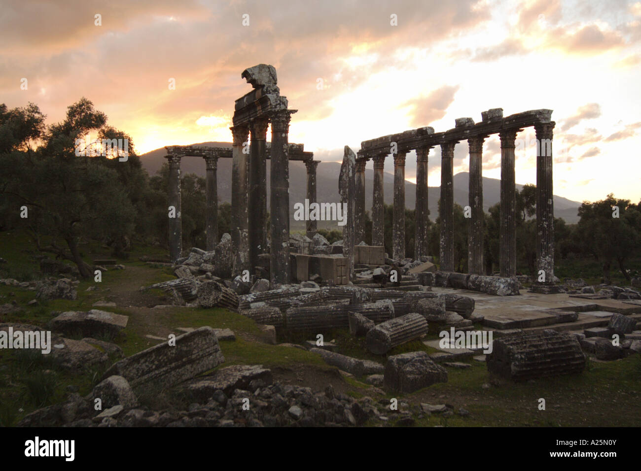 temple of Zeus at Euromos at evening glow, Turkey, Aegaeis, Bafasee, Milas Stock Photo