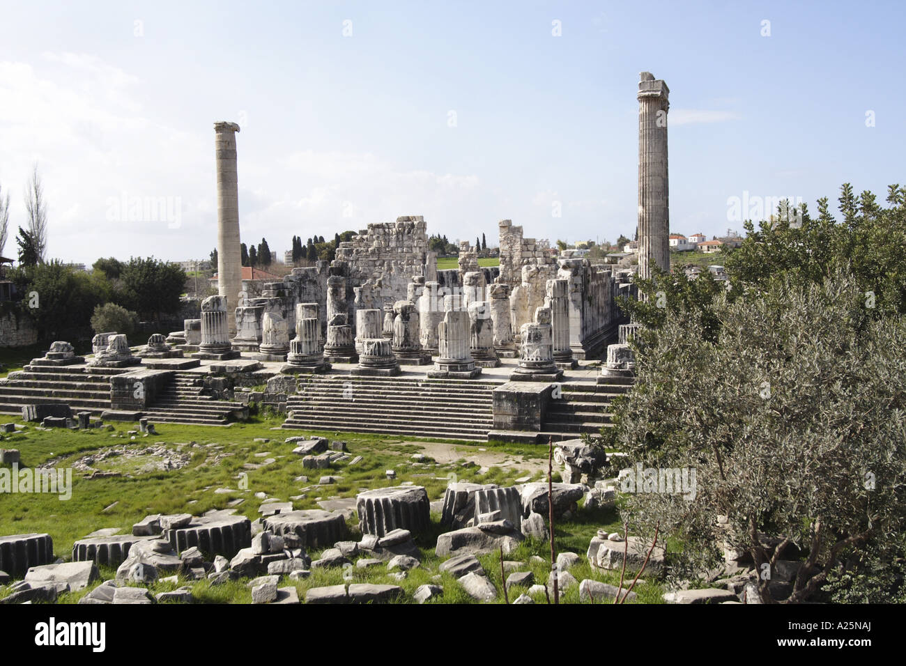 temple of Apollon at Didyma, Turkey, Tuerkische Aegaeis, Didim Stock Photo