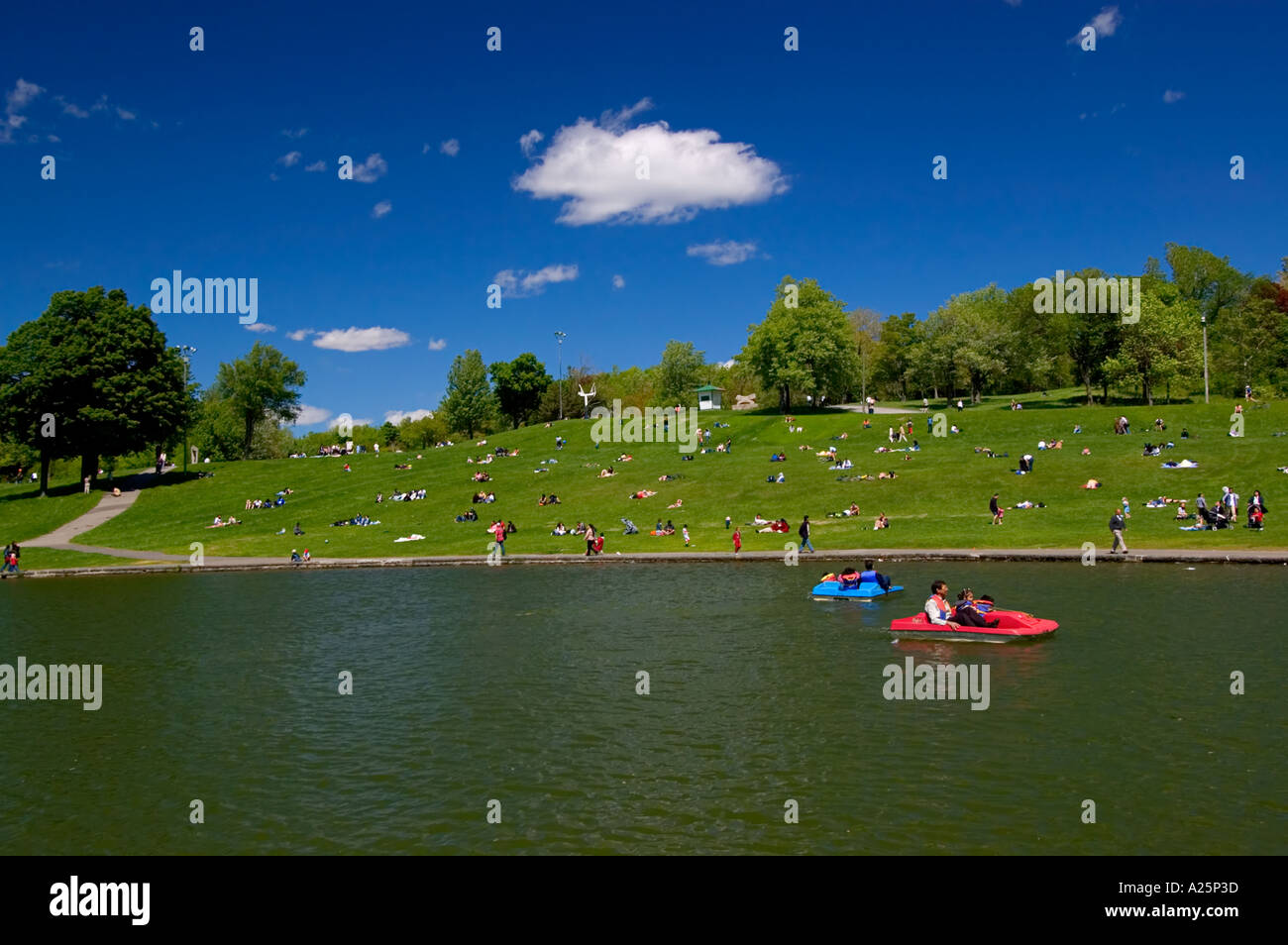 Beaver Lake, Mount Royal Park, Montreal, Quebec, Canada Stock Photo Alamy