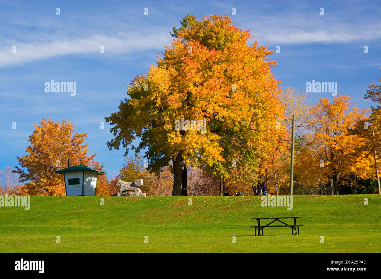 Beaver Lake, Mount Royal Park, Montreal, Quebec, Canada Stock Photo Alamy