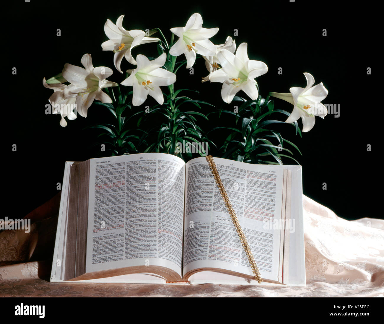 Easter still life with Bible and display of Easter lilies Stock Photo