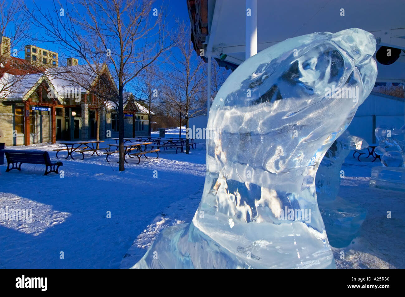 Ile SainteHelene, Parc des Iles, Montreal, Quebec, Canada Stock Photo