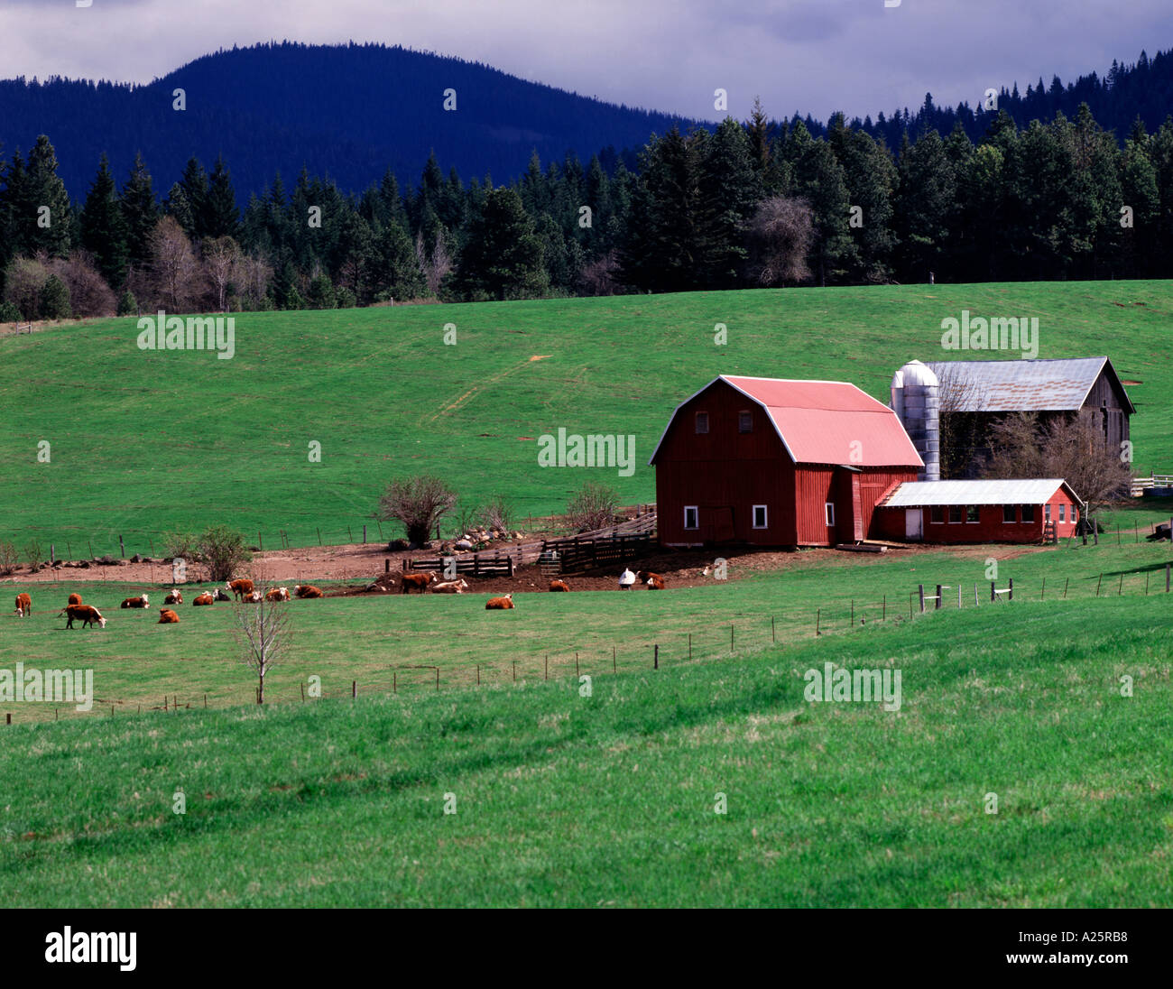 Ranch in the Hood River Valley of Oregon Stock Photo